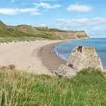 Driftwood 7 *