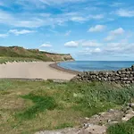 Driftwood 7 Daire Skinningrove