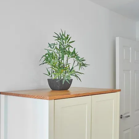 Driftwood 7 Apartman