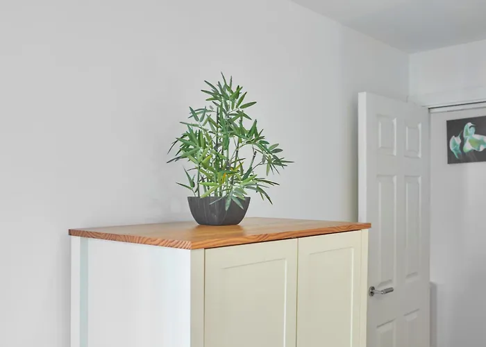 Driftwood 7 Appartement