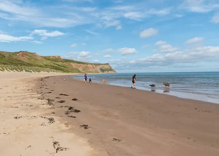 Driftwood 7 Appartement